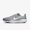 Nike Air Zoom Pegasus 41