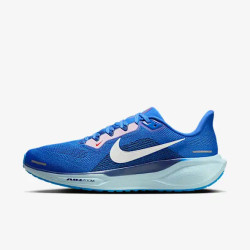 Nike Air Zoom Pegasus 41