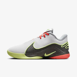 LEBRON XXII